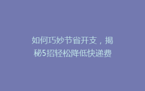 如何巧妙节省开支，揭秘5招轻松降低快递费用？