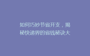 如何巧妙节省开支,揭秘快递界的省钱秘诀大揭秘!