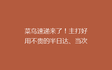 菜鸟速递来了!主打好用不贵的半日达、当次日达和送货上门等服务
