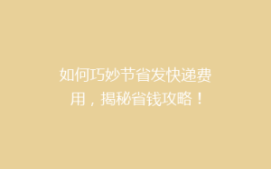 如何巧妙节省发快递费用,揭秘省钱攻略!