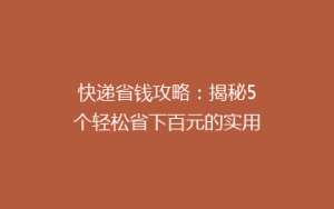 快递省钱攻略:揭秘5个轻松省下百元的实用技巧