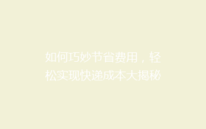 如何巧妙节省费用,轻松实现快递成本大揭秘!