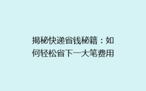 揭秘快递省钱秘籍:如何轻松省下一大笔费用?